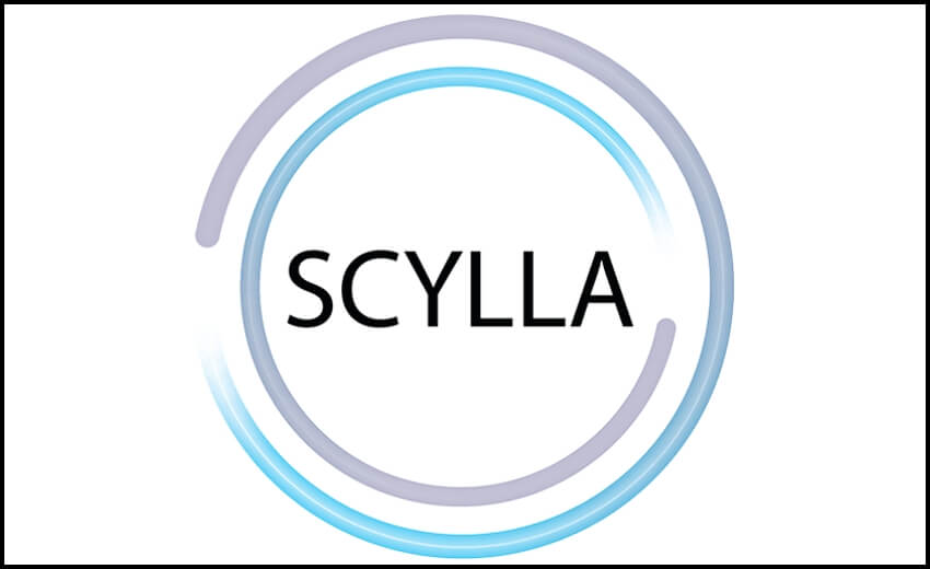 Protecting against internal and external threats in retail with Scylla
