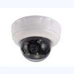 Fast shipping 1080P IR Dome IP Camera for Indoor surveillance