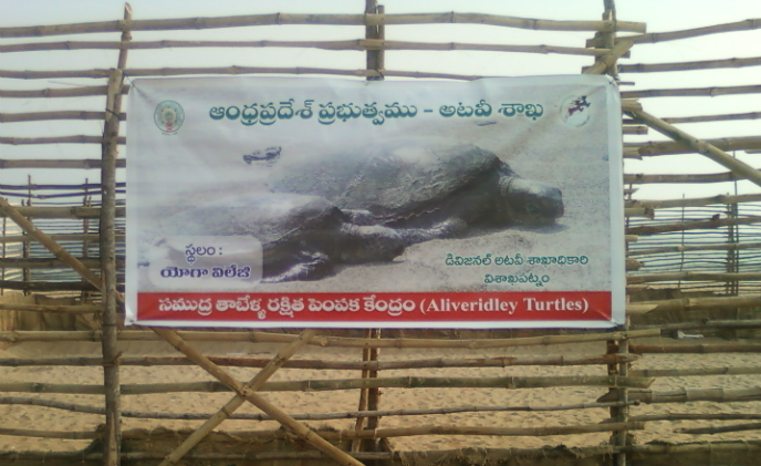Smart Chip partners with WWF-India for the conservation of olive ridley turtles in the Odisha Coast, India
