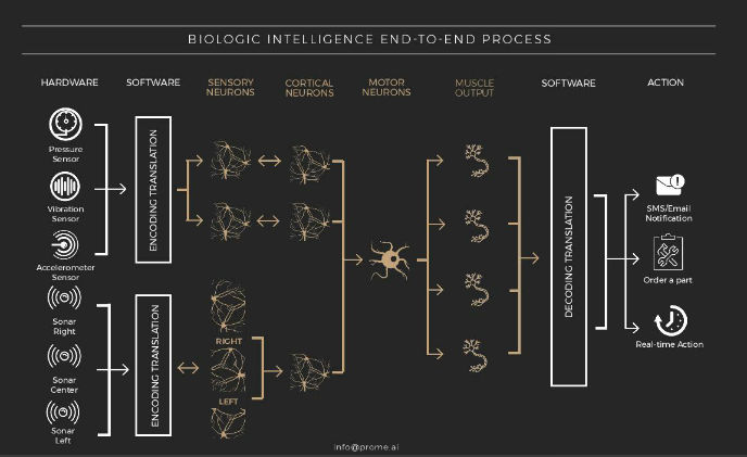 Step aside artificial intelligence, here’s biologic intelligence!