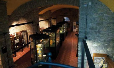 Italian ceramics museum oversees artifacts with Axis cost-effective solution