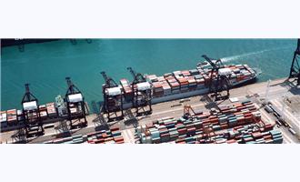 Integrating Equipment and People for Seaports