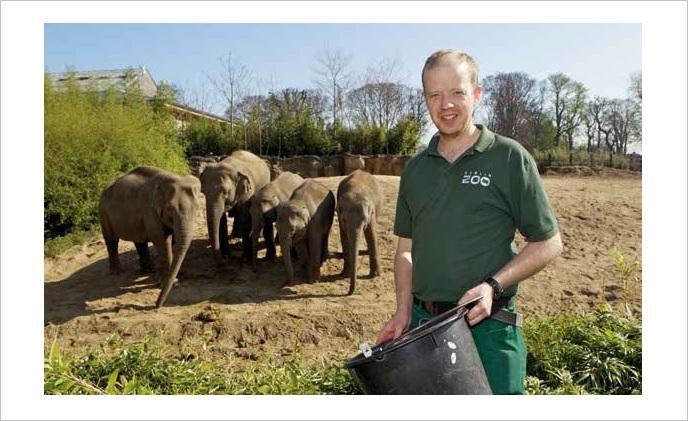 Axis cameras capture ground-breaking elephant sleep study at Dublin Zoo