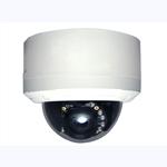 Indoor Dome IP camera