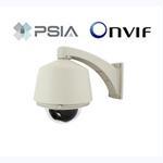 iViewtec 1.3 Megapixel IP High Speed Dome Camera (IV-IP918SD)