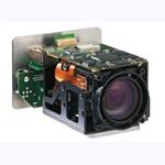 IP Cameras