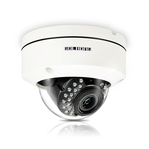 GOLBONG 1080P Heavy-duty CCTV Dome Camera with  Remote Zoom