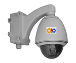 MPEG4 IP Speed Dome Camera (30 X Zoom) 