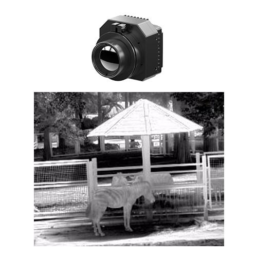 400x300/17µm Infrared Camera Core Integrated into Security Camera
