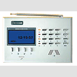 RD-2007D Security Alarm System