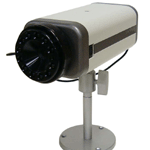 W80 Indoor Dual Codec Network IR Camera