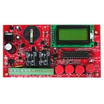 Programmable annual Timer