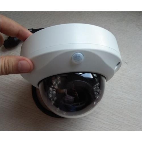 PIR Motion Detection IP Camera with WDR Pro enhancement
