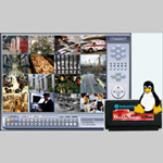 H.264 Linux DVR software for Hikvision cards