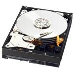 Western Digital WD RE SAS Hard Drives