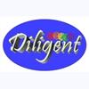 Diligent Vision Solution Trading Co.,