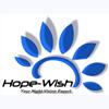  Hope Wish Photoelectronic Technology Co.,ltd
