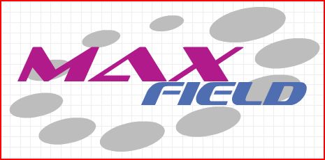 MAXField Technologies Global LTD