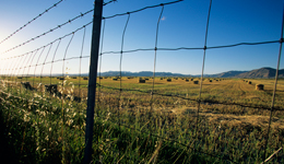 Physical Intrusion Detection and Perimeter Security Quick Guide