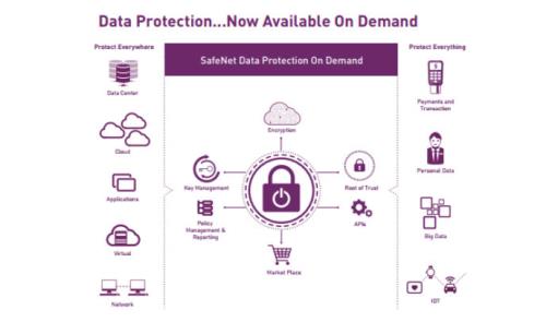 Gemalto launches on-demand security platform to protect data anytime, anywhere