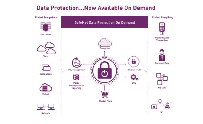 Gemalto launches on-demand security platform to protect data anytime, anywhere
