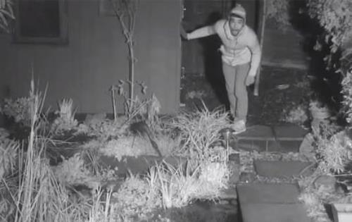 Raytec IR captures intruder on BBC wildlife cam