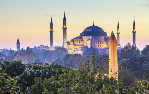 IP and low costs sway Turkey market