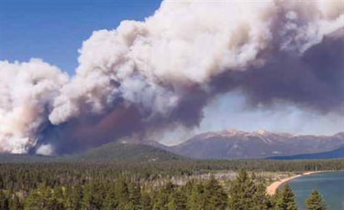 FLIR thermal security cameras prevent outdoor fires