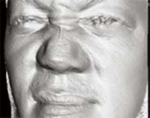 Biometrics Nose Your Identity