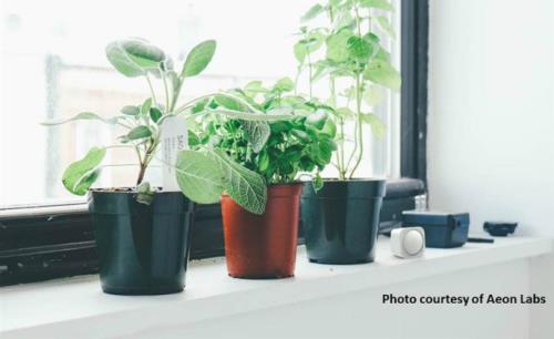 13 security and safety multi-functional sensors