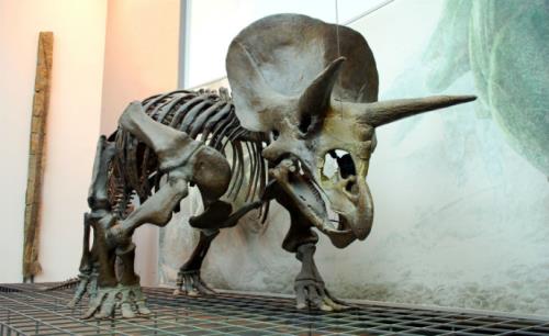 SimonsVoss secures Senckenberg Museum: a trip to the future