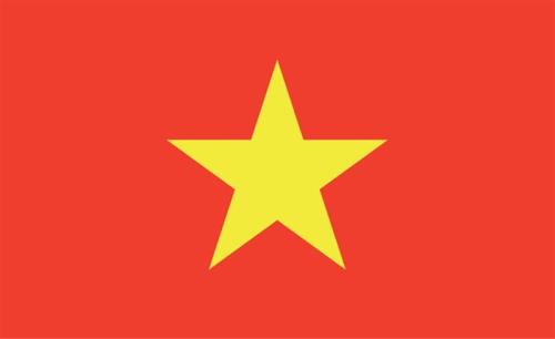 Vietnam’s strong growth presents good opportunities for security
