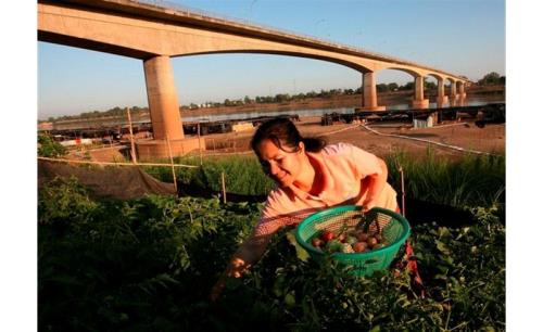 Thai-Lao bridge services to be improved