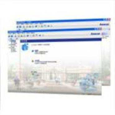Safesmart( NETWORK SOFTWARE)