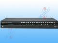 H.264 Stand Alone DVR-H8016(mobilephone surveillance, IPhone)