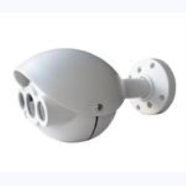 RIS 1.3 Megapixel /2 Megapixel /5 Megapixel  IP Dome Camera