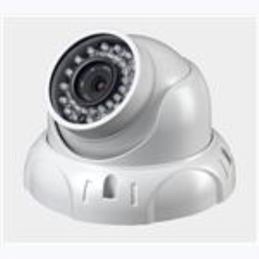 H.264 Trumpet Shell IR Dome IP Camera