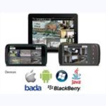 IP Solution