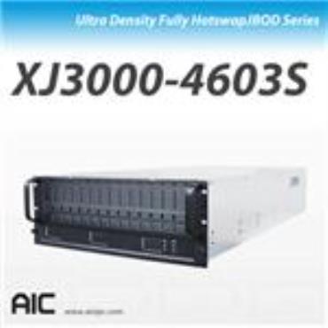 XJ3000-4603S