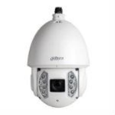 2Mp Full HD 30x WDR Star Light Network IR PTZ Dome Camera
