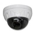 Network HD IP camera vandal-proof indoor IR infrared P2P (plug and play) megapixel IP camera tag