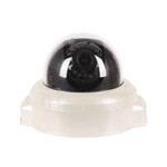 Pixim WDR - iCanView222SB/PB IP Camera