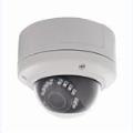 Superior HD 2.0/3.0 Megapixel IP Vandal Dome Camera