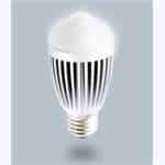LED Sensor Light