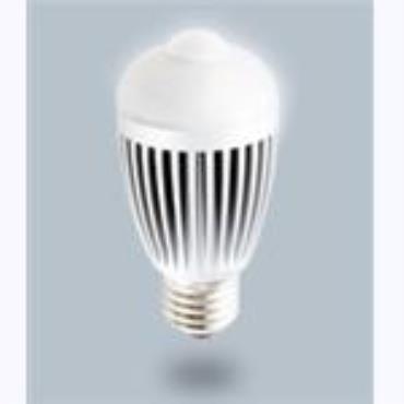 LED Sensor Light