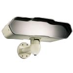 IGUANA-Standalone Auto Tracking Surveillance System