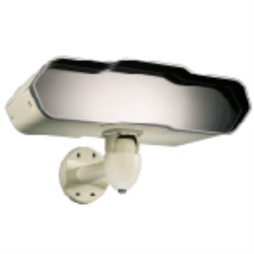 IGUANA-Standalone Auto Tracking Surveillance System