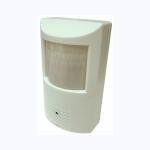 CT-61IR Color CCD PIR Spy Camera