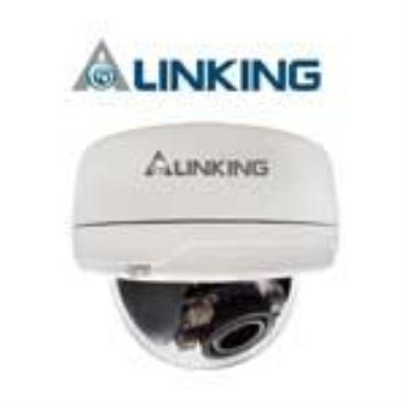 Alinking ALC-9371P H.264 2Megapixel IR Vandal Dome IP Camera
