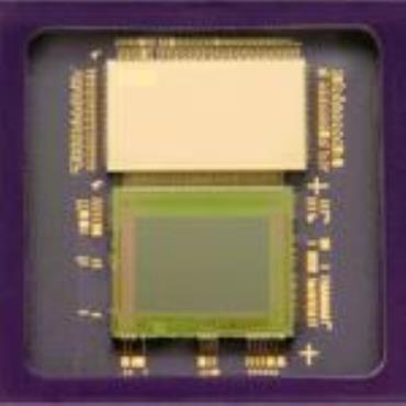 Pixim Seawolf Camera Chip 